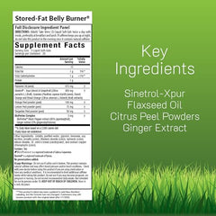 Irwin Naturals Stored-Fat Belly Burner Fat Metabolism | 72 Count 2-Pack